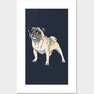 angry dog fawn pug breed Posters and Art